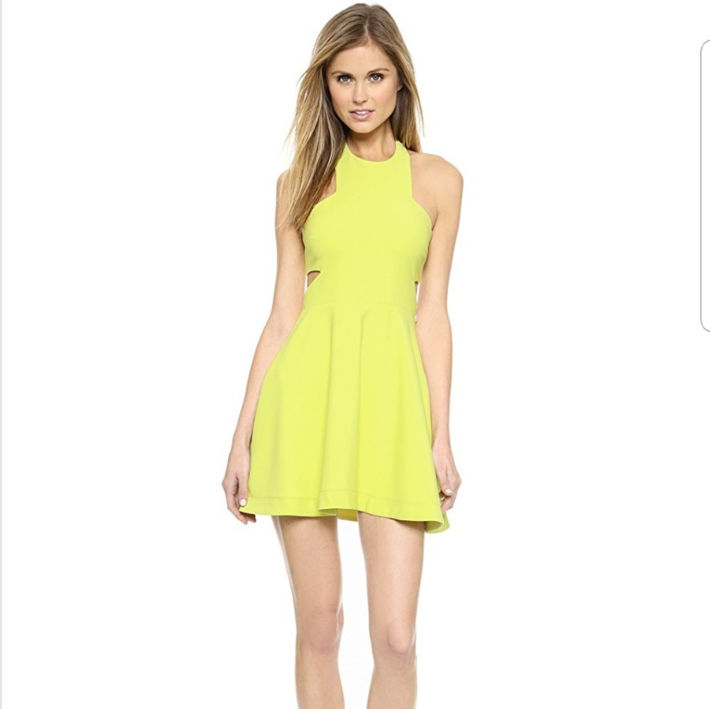 Elizabeth + James Cut Out Fit & Flare Dress